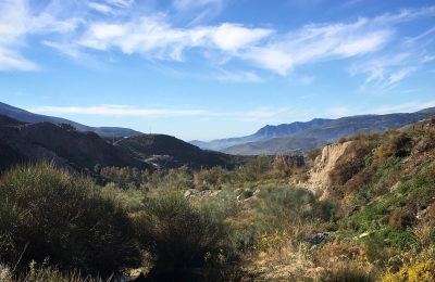 On my patch – Birding in Bayacas, la Alpujarra