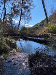 Rio Chico, la Alpujarra